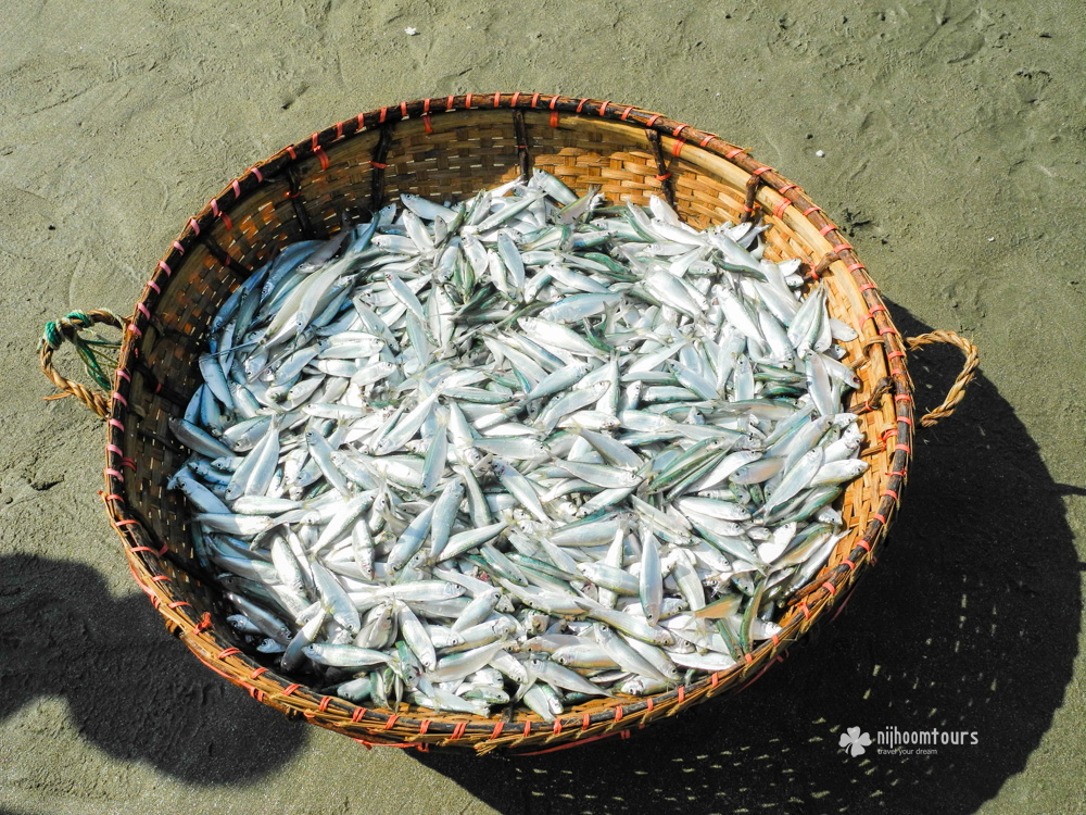 Small catches of the fishermen in Cox's Bazar
